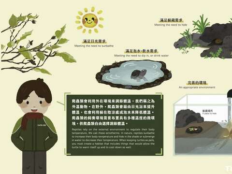 爬蟲類為外溫動物，牠們沒有體內調溫機制，而是利用外在環境來調節體溫