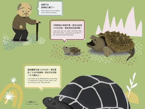 動物寶寶常因為小巧的外型受人喜愛，當寵物越長越大、甚至出現疾病，部分飼主的興趣很容易逐漸消退，從而導致隨意丟棄放生的行為