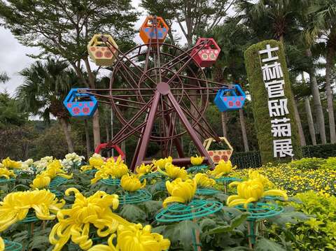「轉運摩天輪」讓您「菊來運轉幸福滿滿」