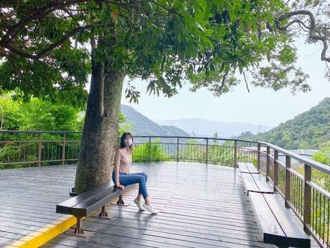 夫妻樹平台供民眾休憩