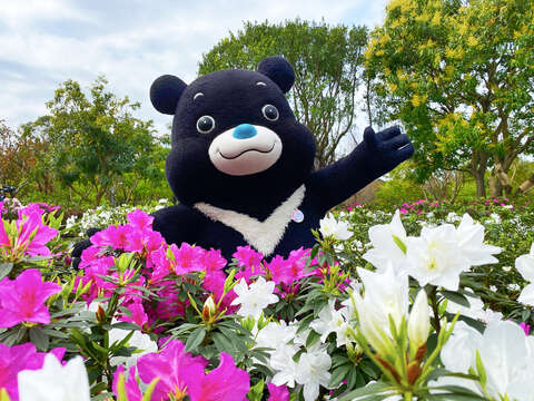 2022 Taipei Azalea Festival