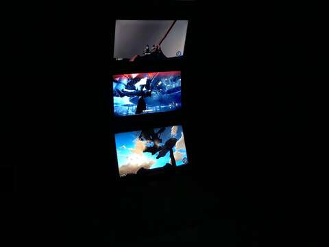 全面拒絕（奧地利），《羽落》