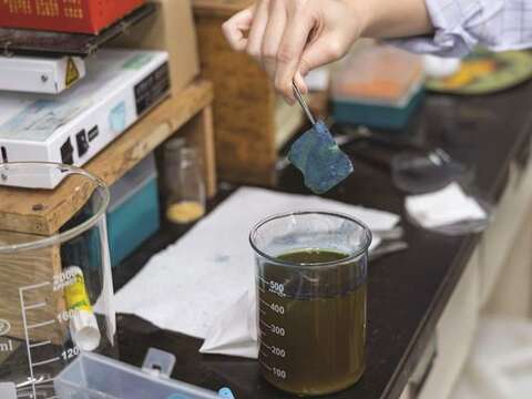 Lin’s team demonstrates how to dye paper or cloth with “indigo white.”