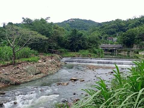 古圳路跌水工河段(自強橋下游)