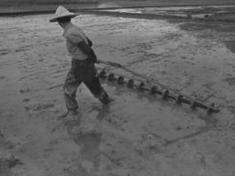 素顔の台湾－鐘永和60年の足跡