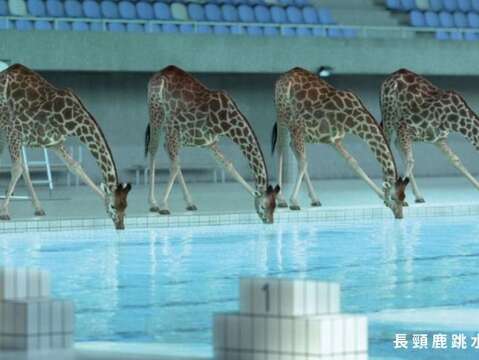 影片放映