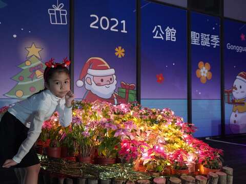 小朋友與聖誕燈飾的合影