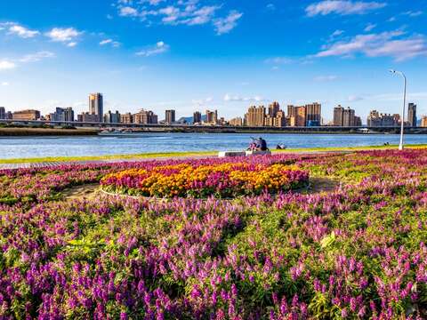 「北市最美的水岸花海」 延平河濱公園花海及河岸美景美不勝收