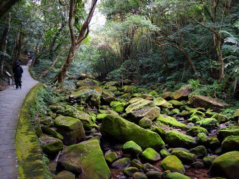 大溝溪生態治水園區與五指山系登山步道串聯