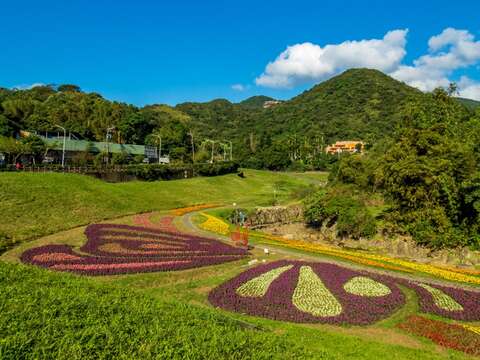 內湖的賞花秘境「大溝溪生態治水園區」現在也有花海盛開大溝溪生態治水園區