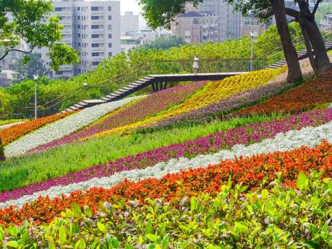 三層崎花海