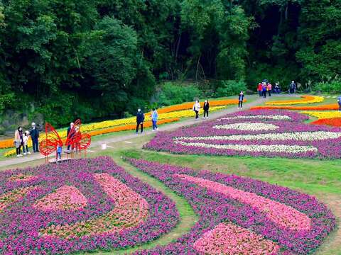大溝溪生態治水園區，首次出現「蝴蝶」圖騰花海