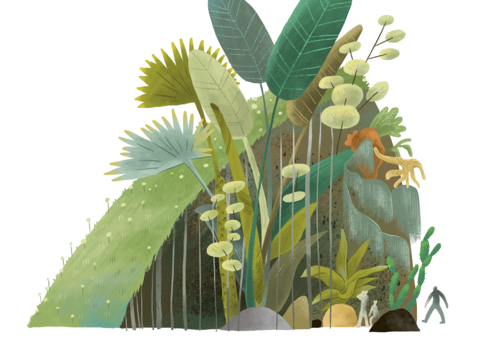城市中的溫柔小山：台北典藏植物園(台北畫刊111年1月)