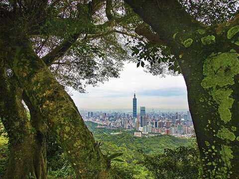 108年度攝影比賽照片-九五峰