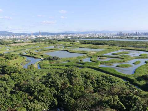 關渡自然公園擁有豐富的生態與濕地環境，邀請民眾親近大自然。