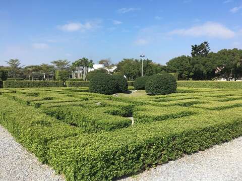 新生園區充滿樹蘭清香的迷宮花園