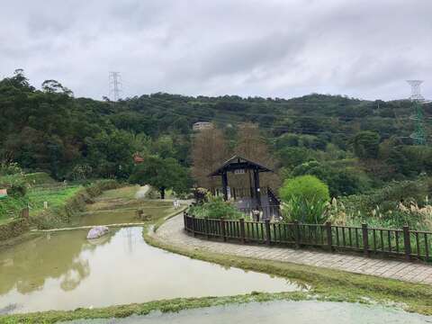 樟樹步道水梯田