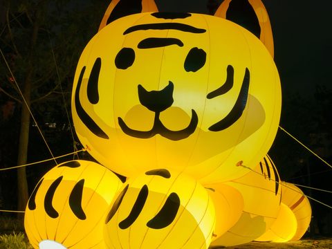 TPEDOIT: 3 Recommended Tours of the 2022 Taipei Lantern Festival