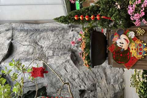 臺北典藏植物園從農曆年就展示各式蘭花與應景的季節花卉，將園區妝點出濃厚的新年氣氛。