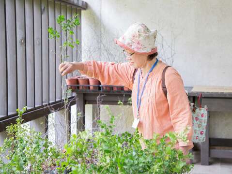 活動現場免費贈送樹苗 歡迎自備環保袋領取 數量有限贈完為止