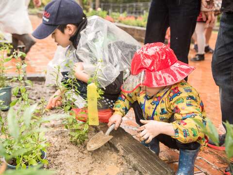 植樹愛地球 種下希望樹苗