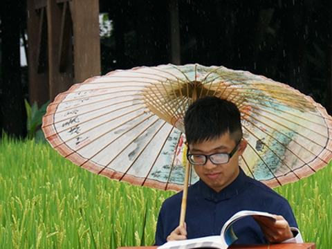 稻田上的書桌能伴隨稻作生長學習