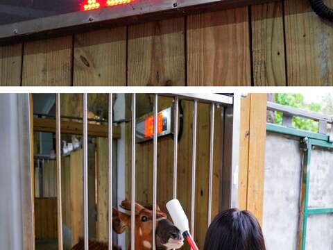 保育員會進行基礎的動物訓練，方便掌握個體的體重、體型和皮膚狀況等各種健康狀況