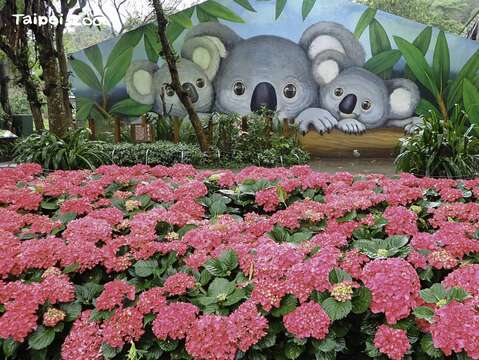 台北市立動物園 見逃せない撮影スポット