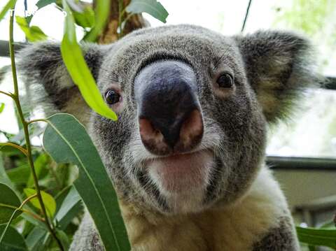 台北市立動物園 見逃せない撮影スポット