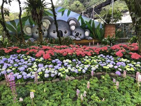 台北市立動物園 見逃せない撮影スポット