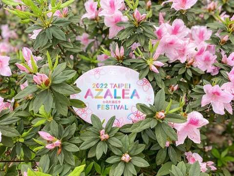Debut Meriah Musim Bunga Rhododendron Taipei 2022