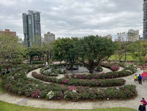Debut Meriah Musim Bunga Rhododendron Taipei 2022