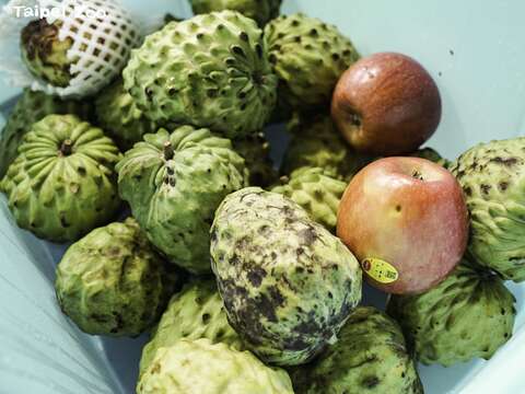 動物廚房催熟鳳梨釋迦讓動物們品嚐