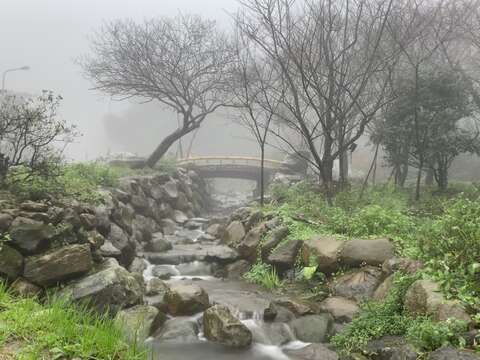 後山馬槽溪支流雲霧繚繞。