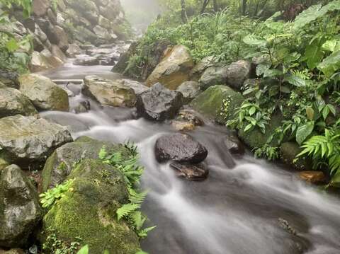 後山馬槽溪支流天然湧泉水量豐沛。