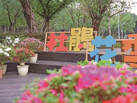 杜鵑花季
