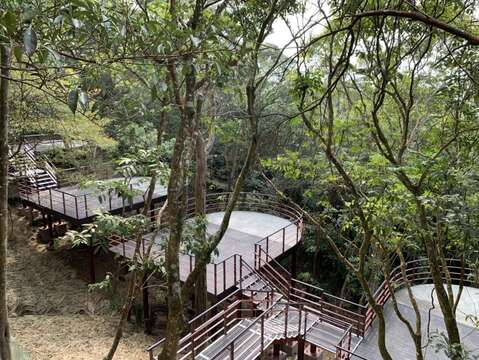 林間營位(白天) 近距離體驗山的氣息