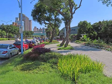 臨路綠帶多樣植栽塊狀配置