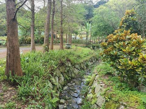 落雨松秘境