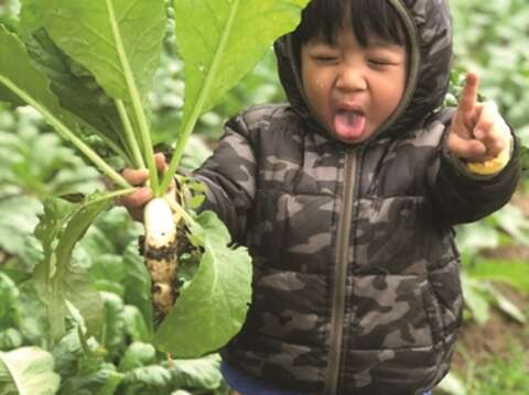 During the sowing season, Ba Sian Sustainable Farm holds experience sessions so children from the city can have a chance to learn about agriculture. (Photo/Ba Sian Sustainable Farm)