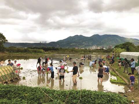 八仙六代園ではシーズン毎に農業体験活動を開催し、都市に住む子どもたちに農業の基礎知識を教えています。(写真/八仙六代園)