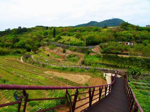 稻浪棧道欣賞鵝尾山風景