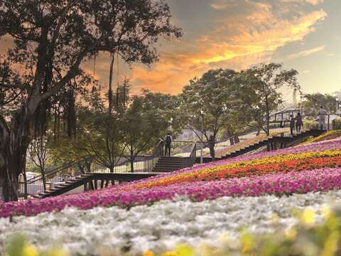 春の北投社三層崎公園は山の斜面に色とりどりの花が咲いています。(写真/台北市政府工務局公園路灯工程管理処)