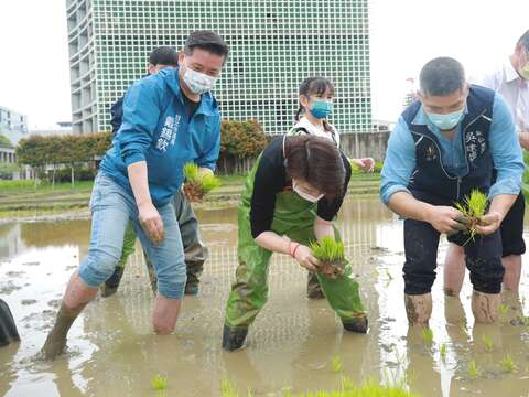 化身為城市農夫