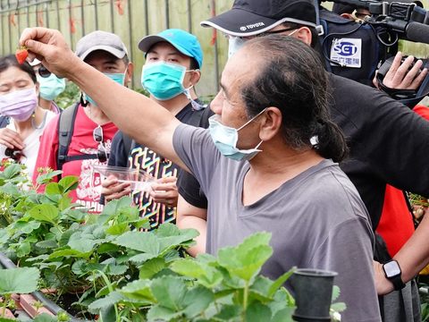 臺北大縱走第四段中有著著名的白石湖休閒農業區，可在走完步道後安排採草莓鮮果及DIY體驗，度過一個幸福的周末。