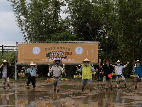 挑扁擔、扛秧苗農作體驗