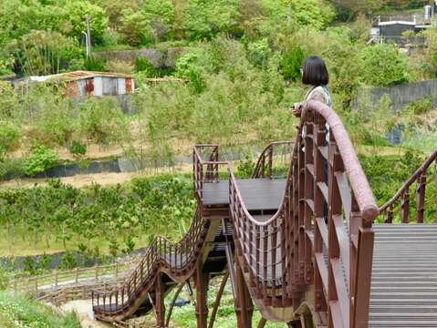 以稻穗波浪作為意象的鵝尾山稻浪棧橋