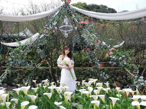 大梯田花卉生態農園