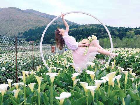 財福-凍齡