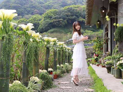 曹家花田香作品時尚婚紗櫥窗